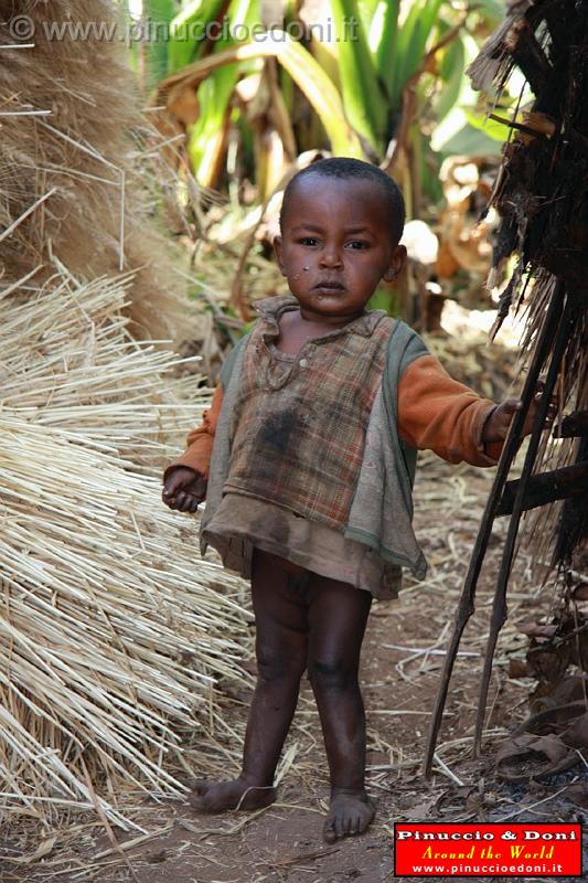 Ethiopia - Wolayta e la falsa banana - 8.jpg